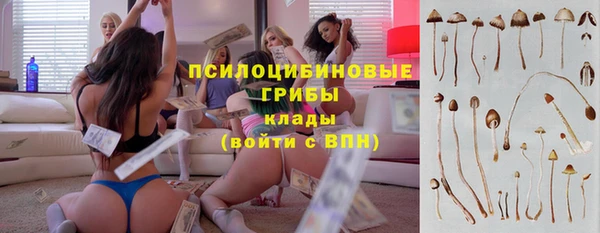 гидра Волоколамск