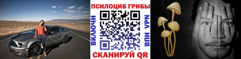 Купить где  Апрелевка  Псилоцибиновые грибы Psilocybe 